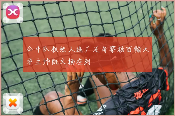 公牛队教练人选广泛考察杨百翰大学主帅凯文杨在列